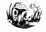 Toad