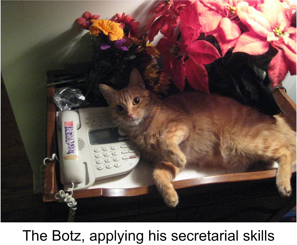 Botzi_Secretary