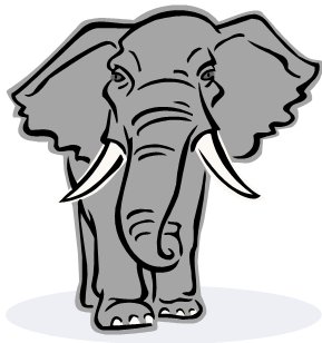 RogueElephant