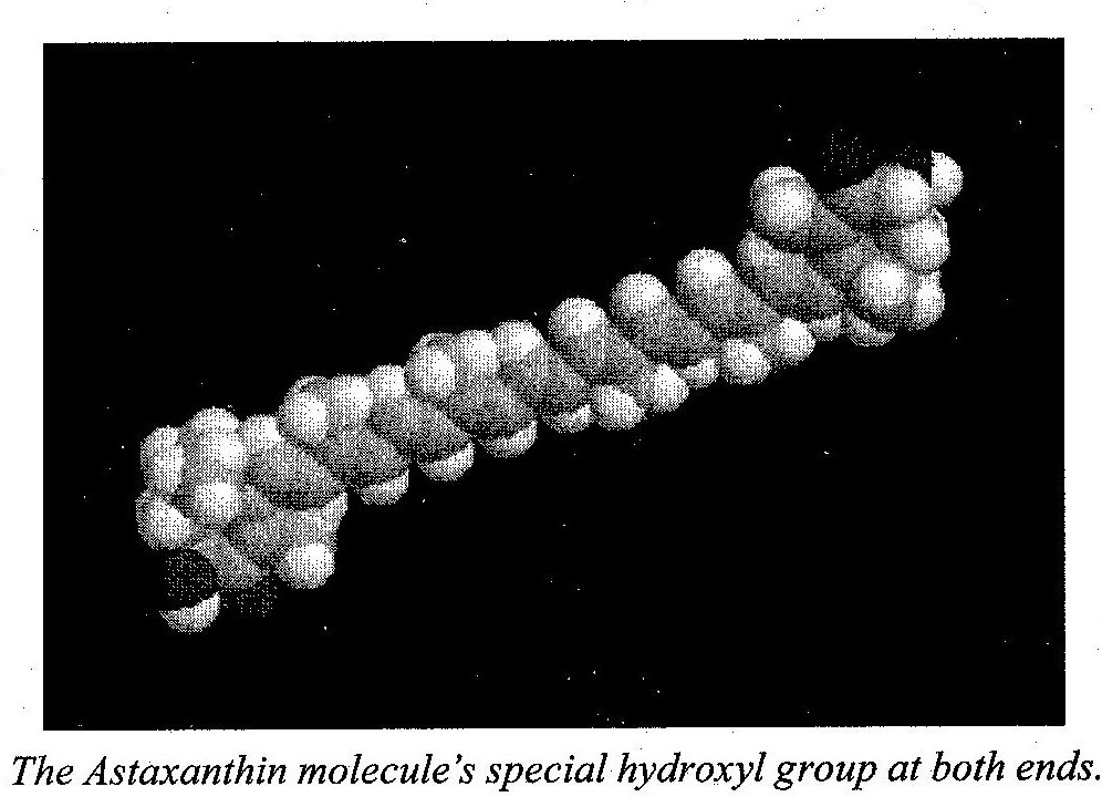 hydroxyl