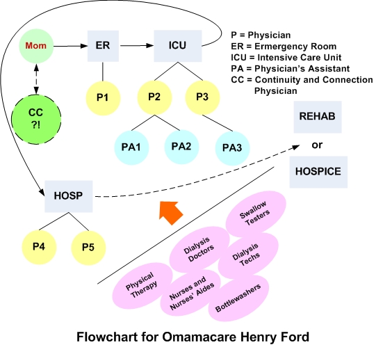 Omamacare VI Schematic