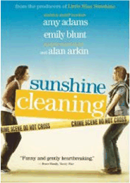 Sunshine Cleaning