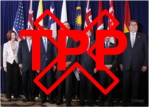 Nix TPP
